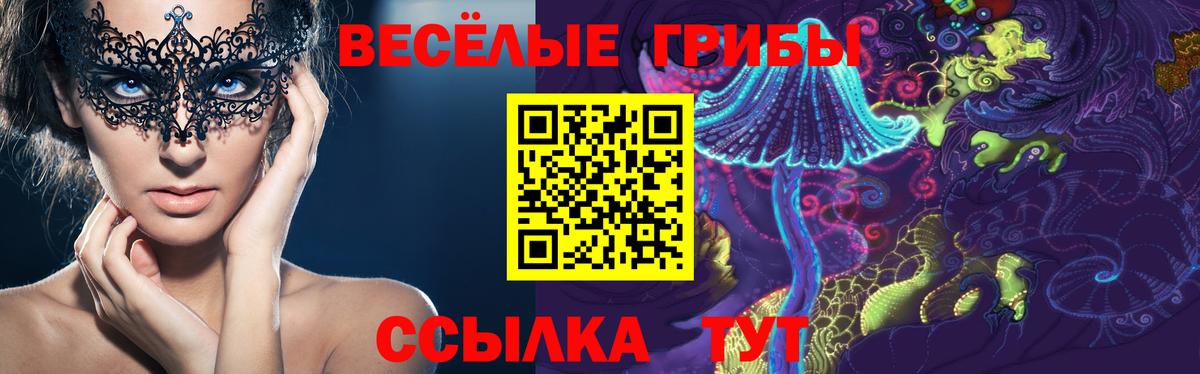 Зеленокумск  Галлюциногенные грибы Magic Shrooms  Вход с VPN 